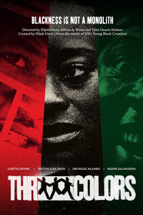 Movie poster for Three Colors: Pan-African (2026)