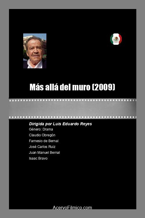 Movie poster for Más allá del muro (2009)