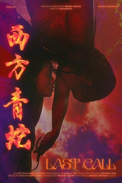 Movie poster for Last Call (2025)