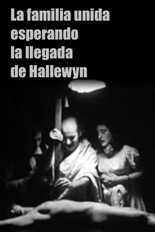 Movie poster for La familia unida esperando la llegada de Hallewyn (1971)