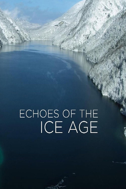 Movie poster for Echoes of the Ice Age (2021)