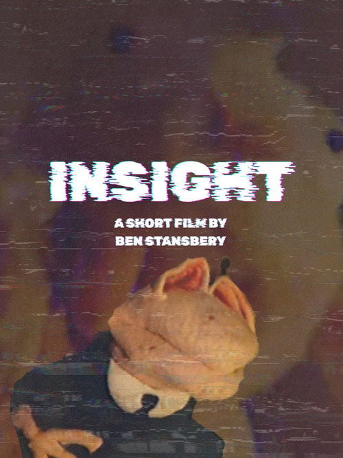 Movie poster for Insight (2024)