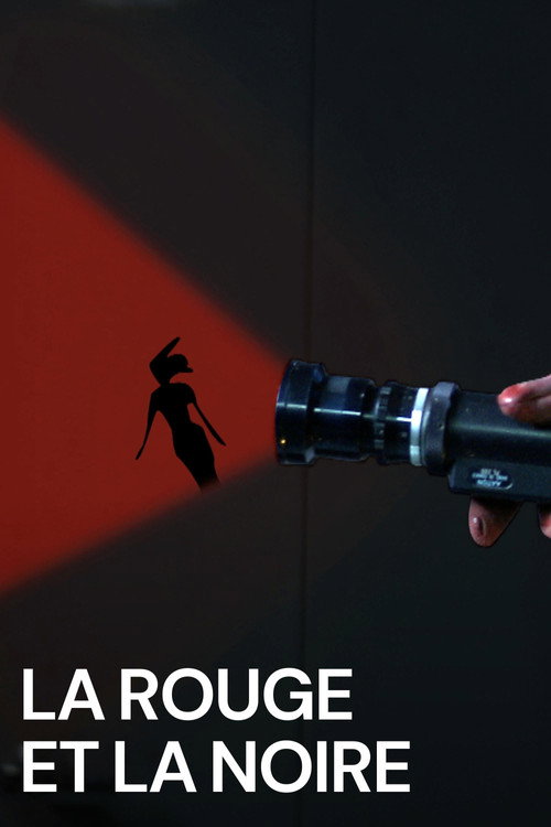 Movie poster for La rouge et la noire (2011)