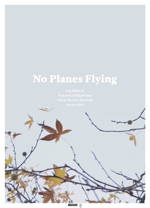 Movie poster for No Planes Flying