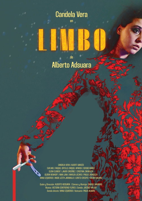 Movie poster for LIMBO
