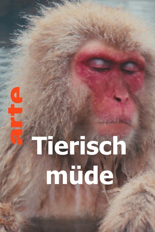 Movie poster for Tierisch müde - Das Rätsel Schlaf (2022)