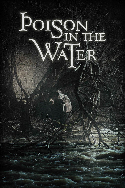 Movie poster for Poison in the Water (2017)
