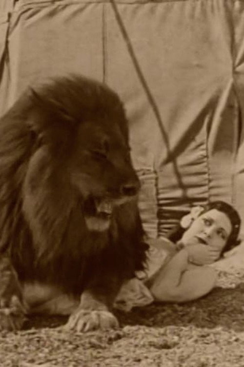 Movie poster for Circus Today (1926)