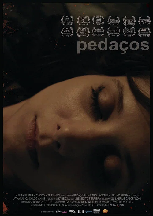 Movie poster for Fragments (2014)