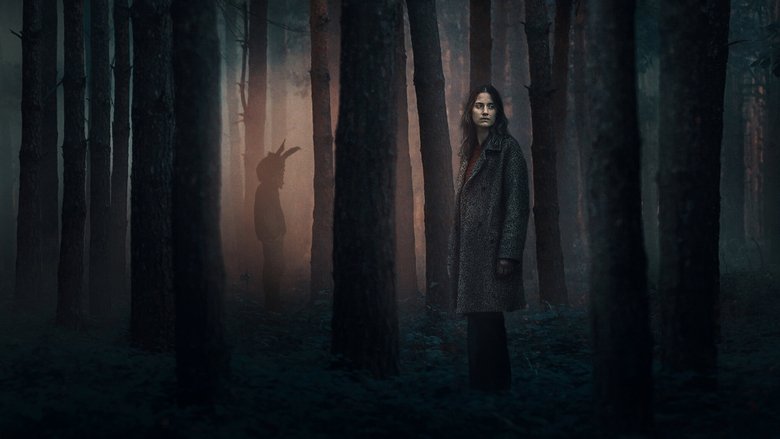 A mist-laden forest at twilight, the trees forming a tunnel that seems to lead nowhere.