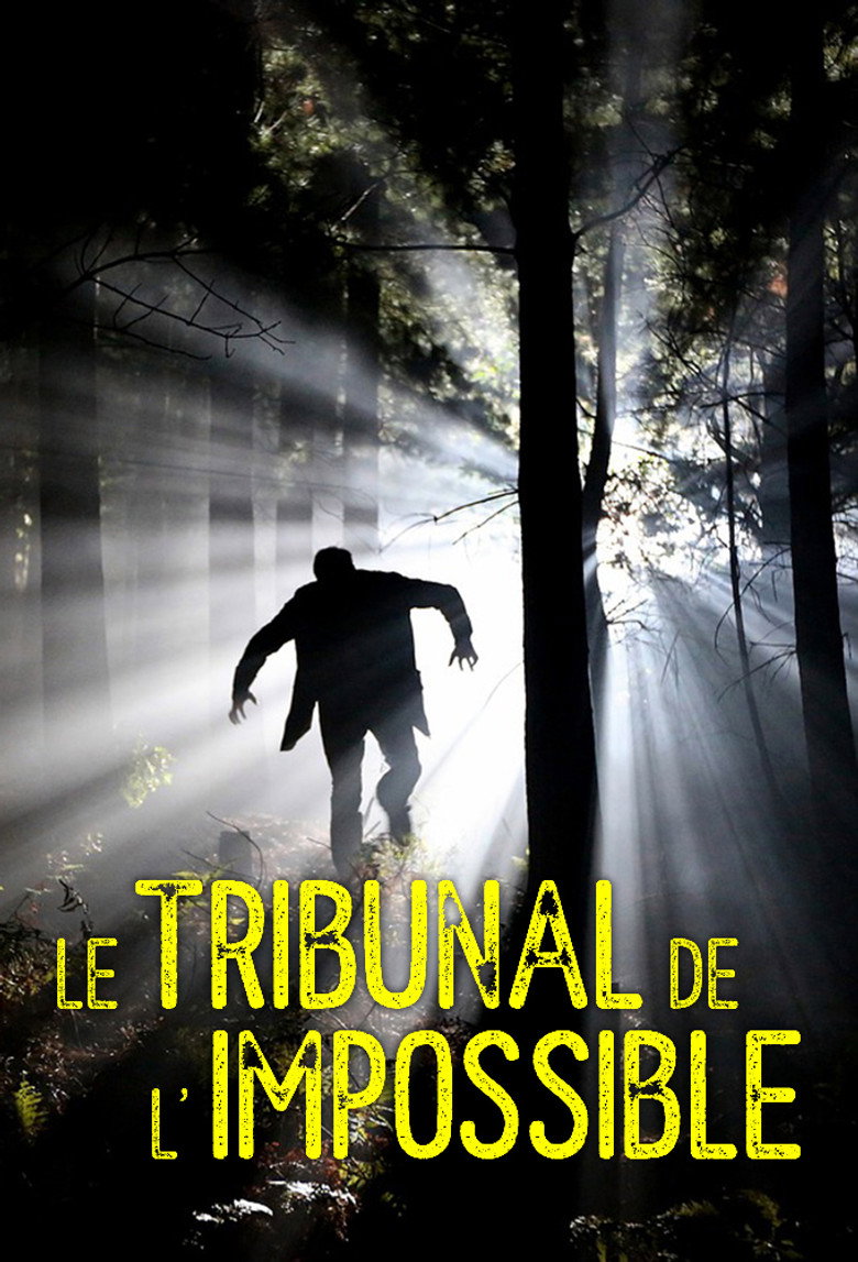 Le Tribunal de l'impossible poster background
