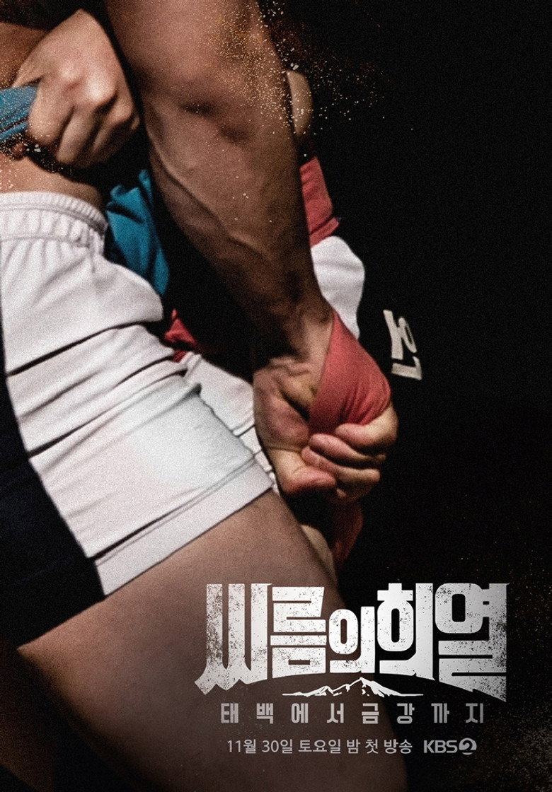 씨름의 희열 - 태백에서 금강까지 poster background