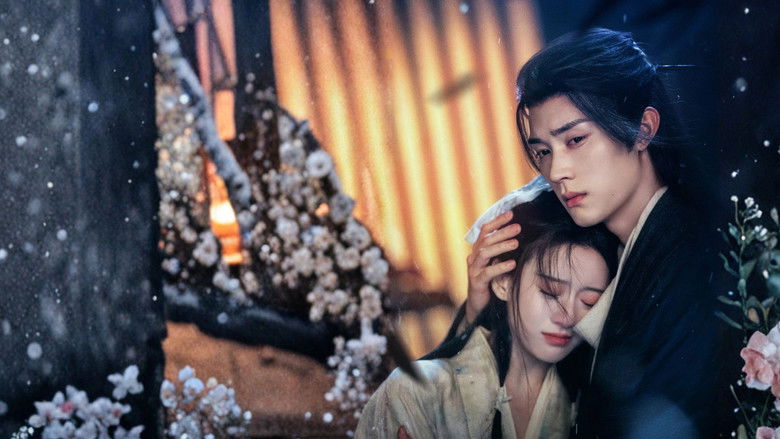 The quiet tension of the martial world