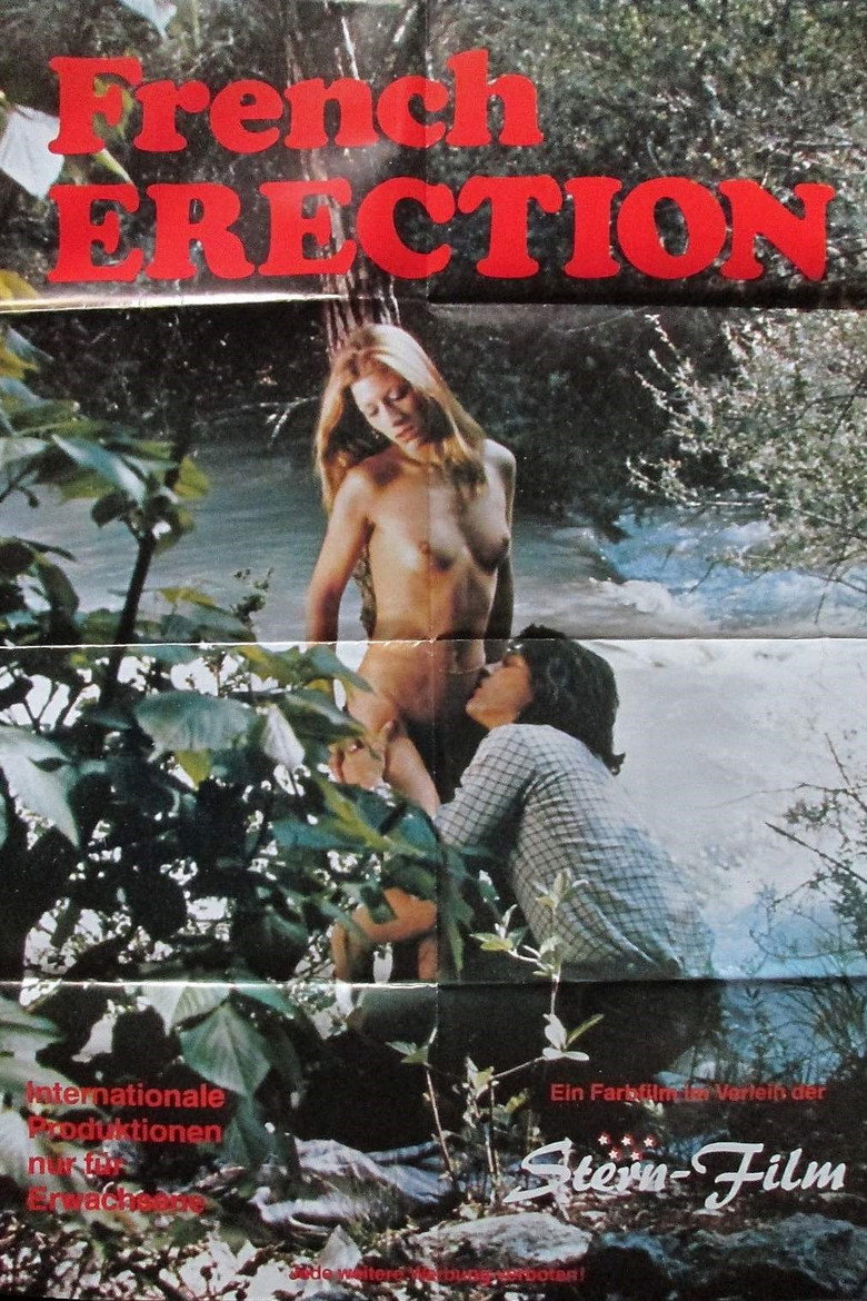 French Erection poster background