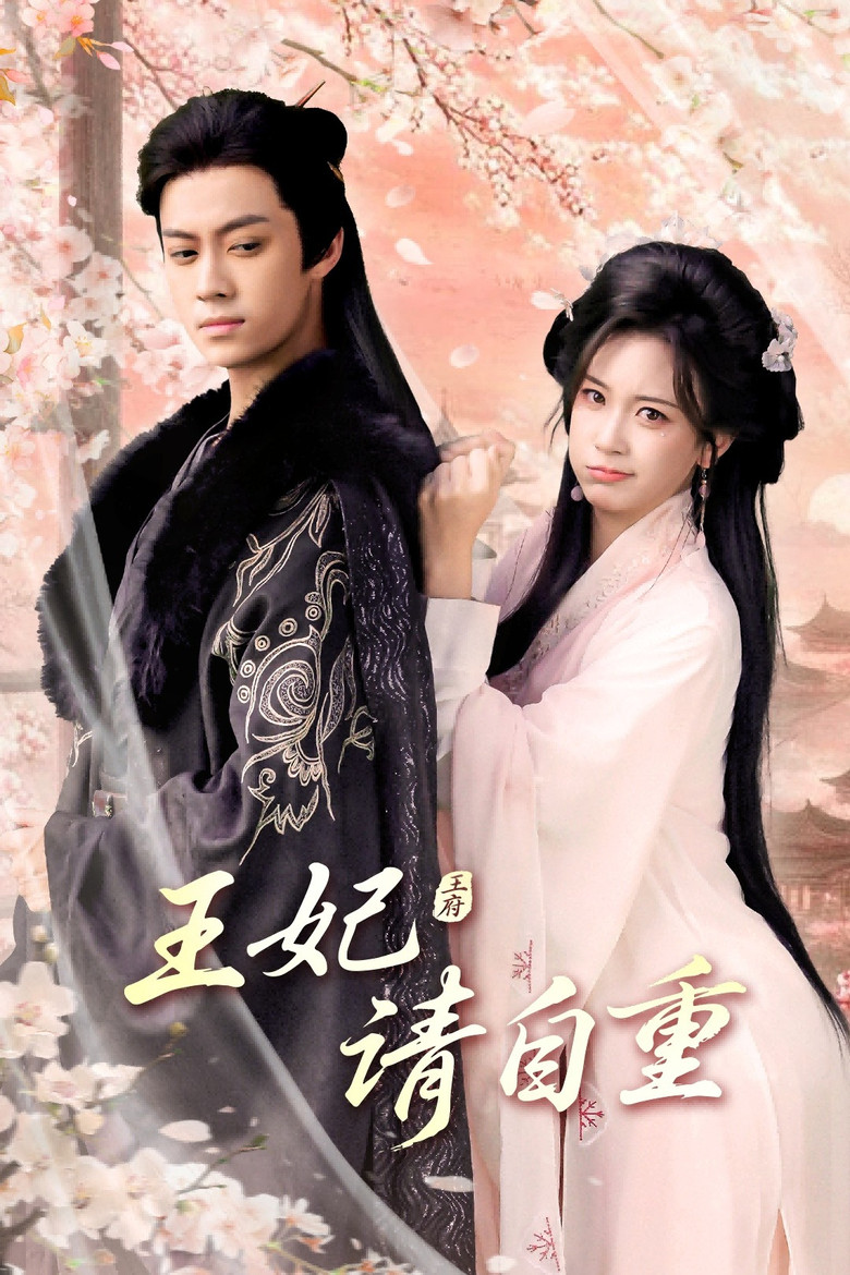 王妃请自重 poster background