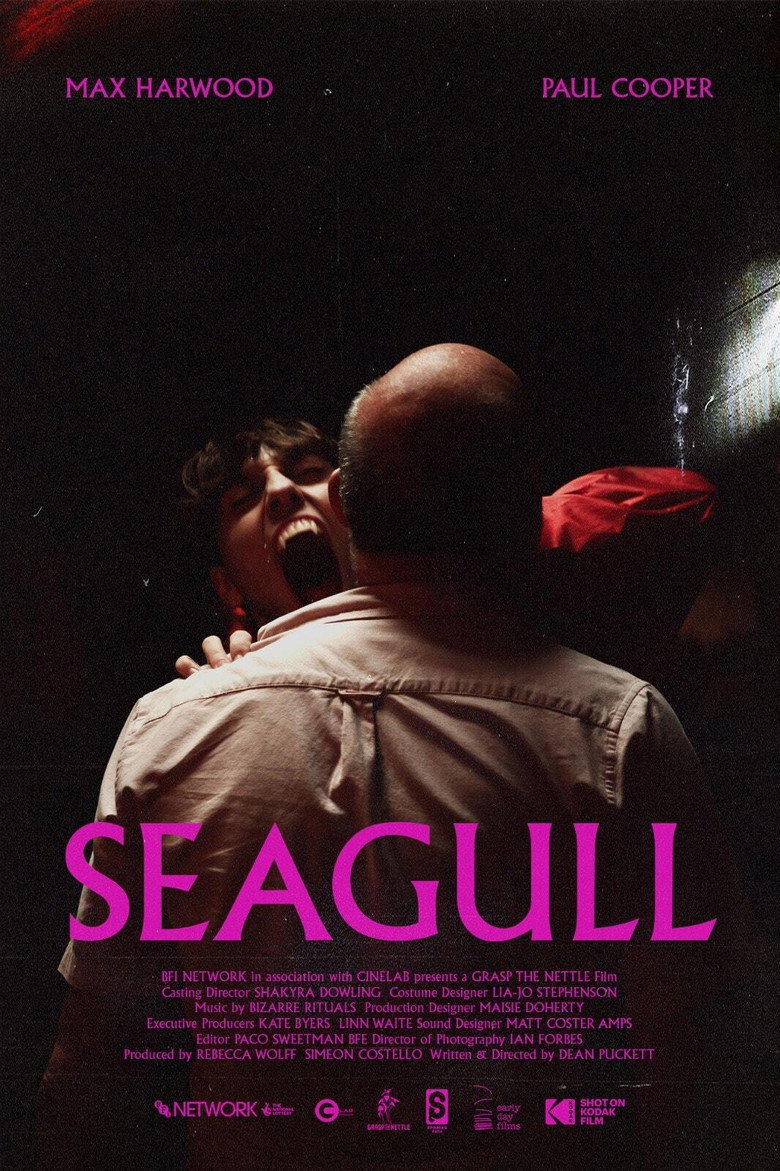 Seagull poster background