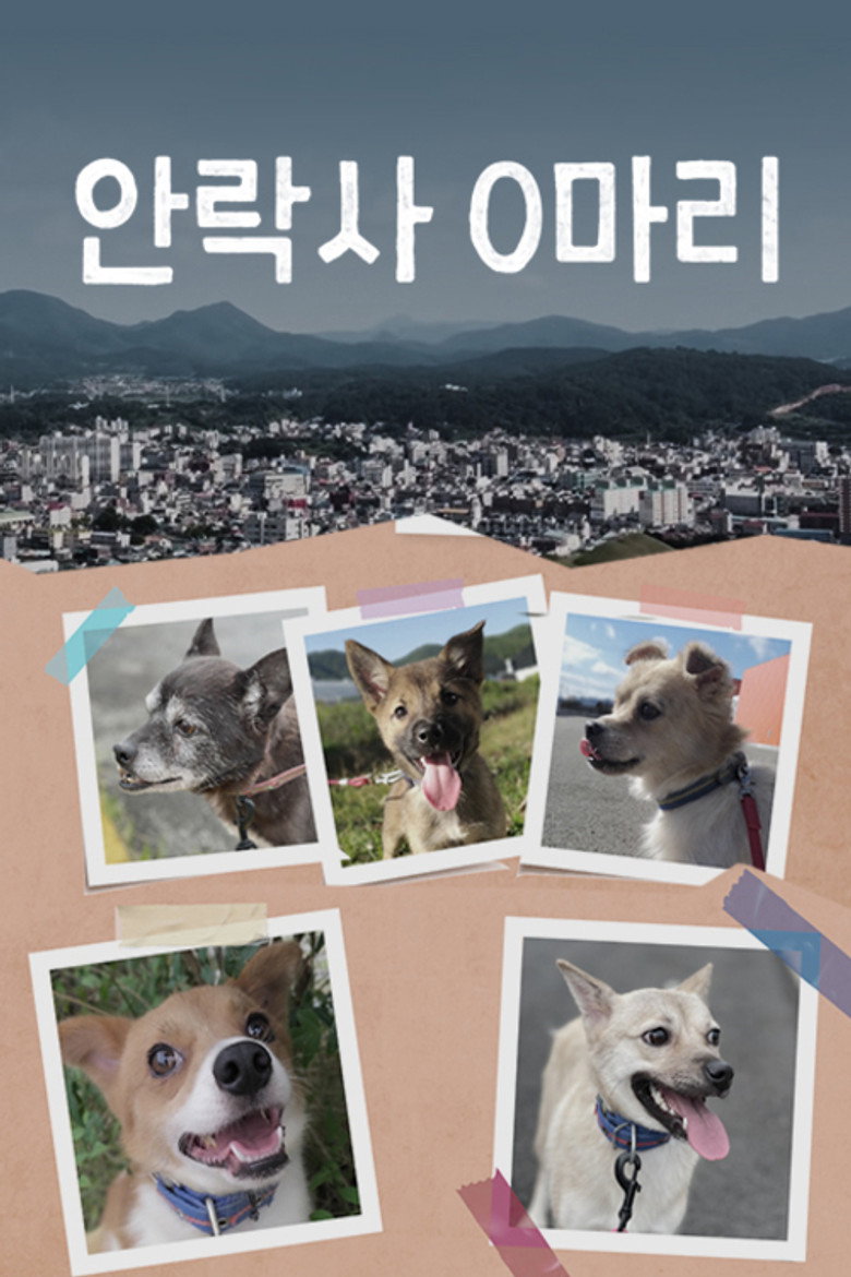 안락사 0마리 poster background
