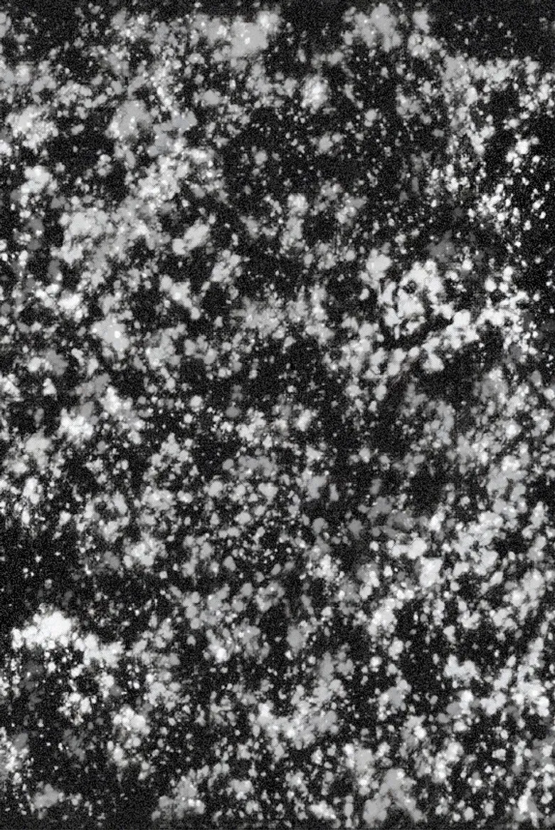 Keep That Dream Burning poster background