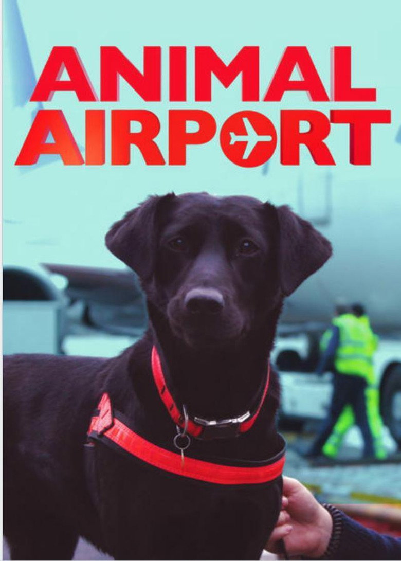 Animal Airport poster background
