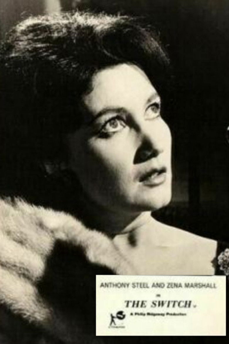 The Switch poster background