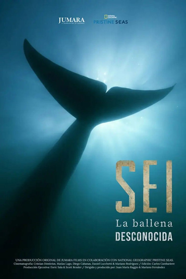 Sei La Ballena Desconocida poster background