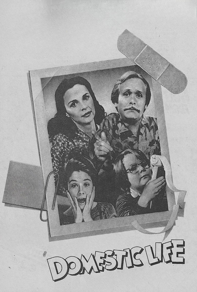 Domestic Life poster background