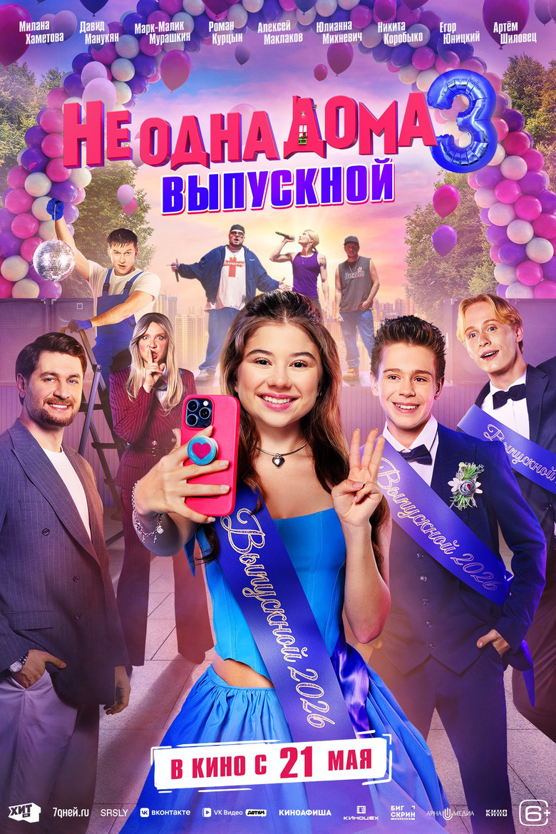 Not Home Alone 3 poster background