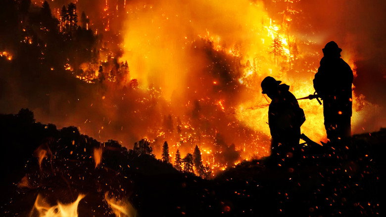 A firefighter in full gear stands against a wall of flames, the orange glow reflecting off their helmet and the smoke curling into the sky.