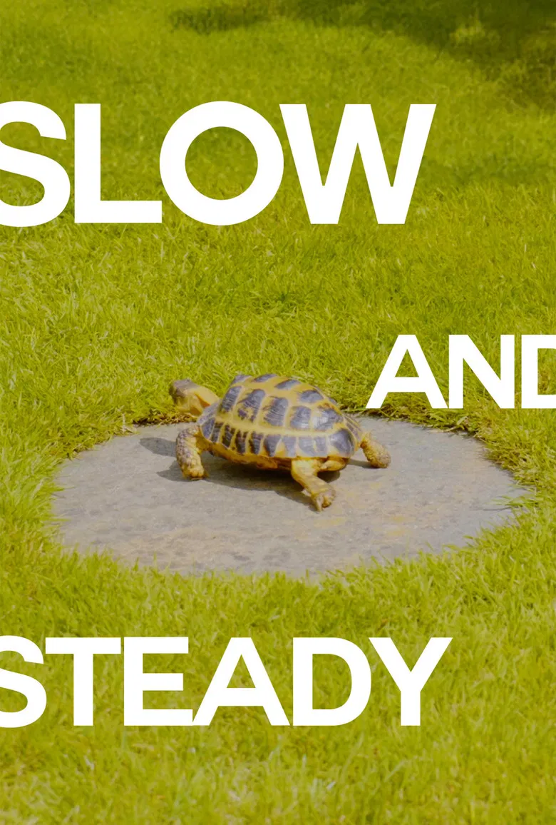 Slow and Steady poster background