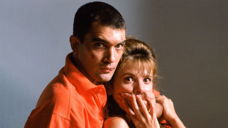 Ricky's intense gaze