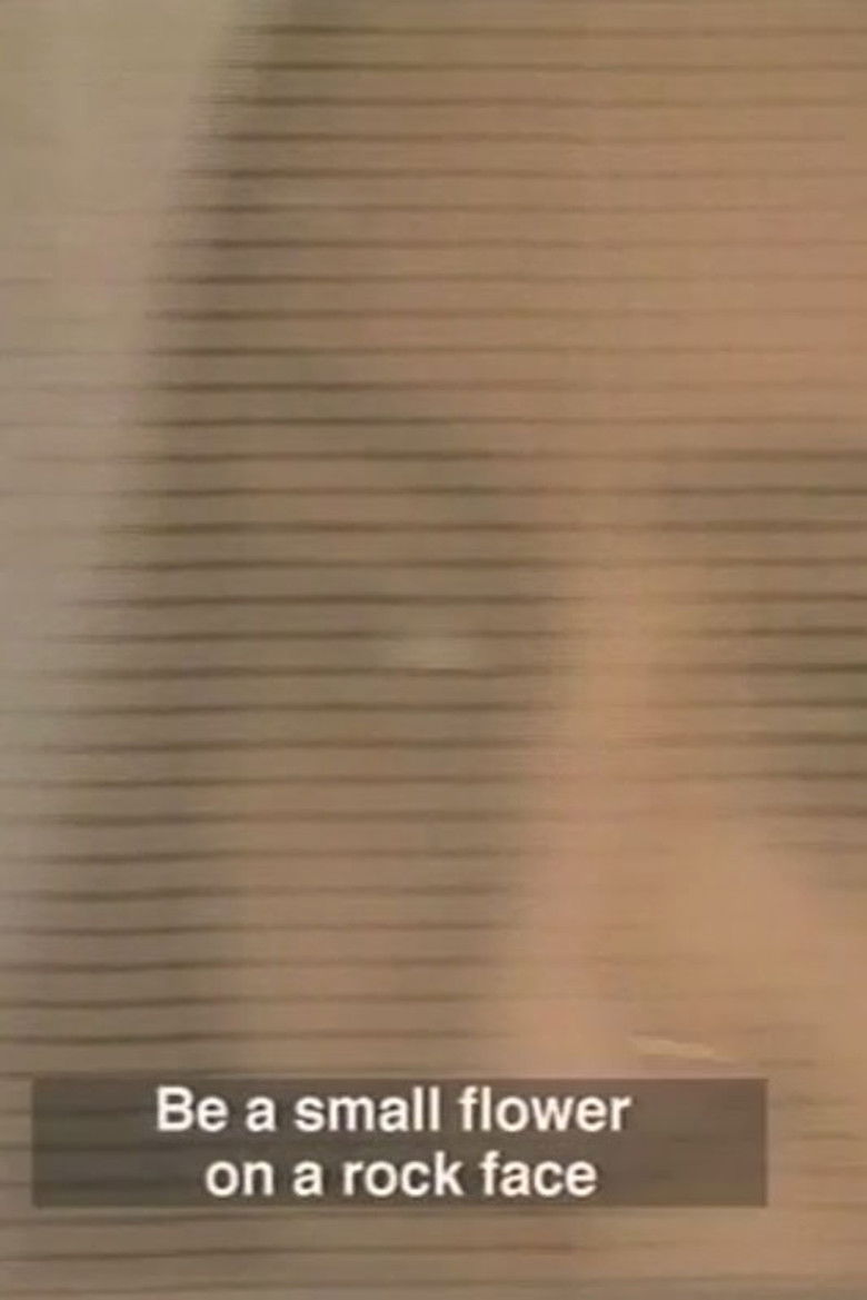 In the Eye of the Fish poster background