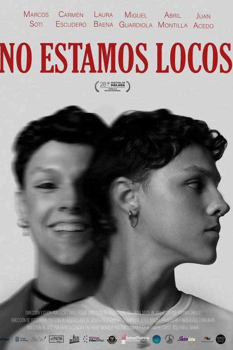 No estamos locos poster background