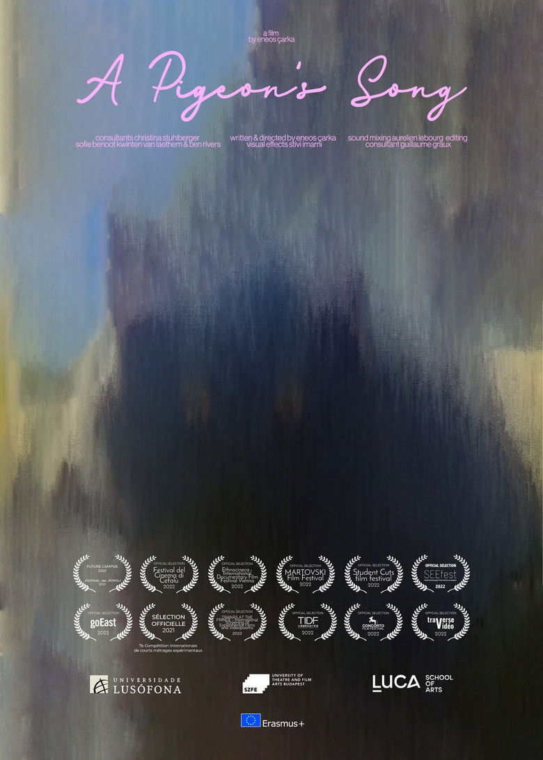 A Pigeon's Song poster background