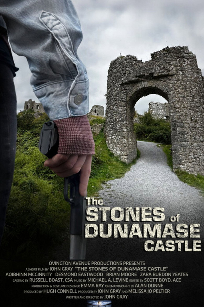 The Stones of Dunamase Castle poster background