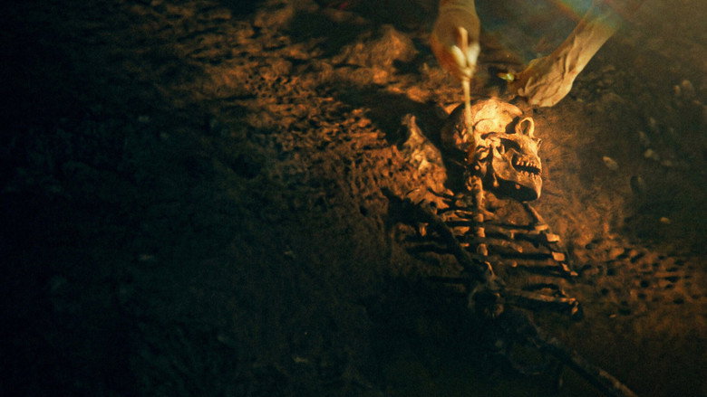 A close-up of a Neanderthal skull being carefully brushed by gloved hands, the dust catching the light like flecks of gold