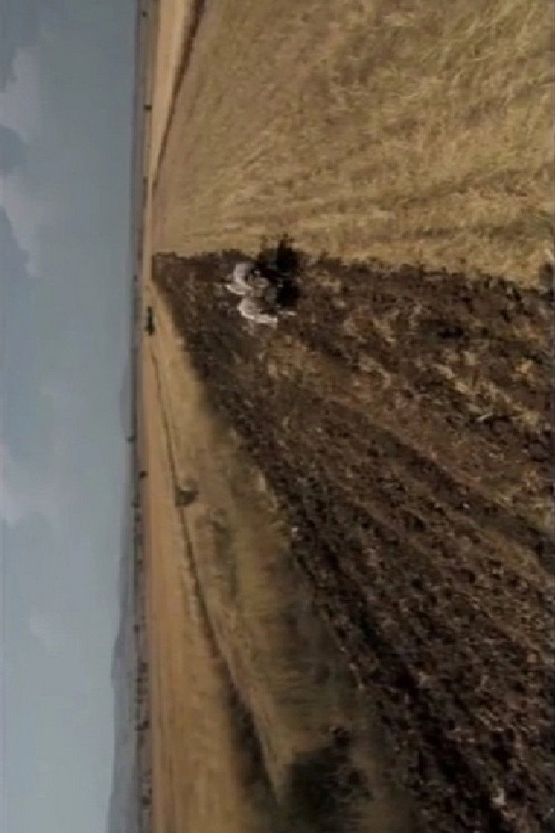 Years of Solitude poster background