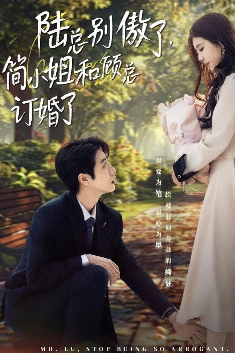 陆总别傲了，简小姐和顾总订婚了 poster background