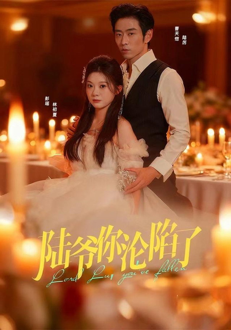 Falling for Mr. Lu poster background