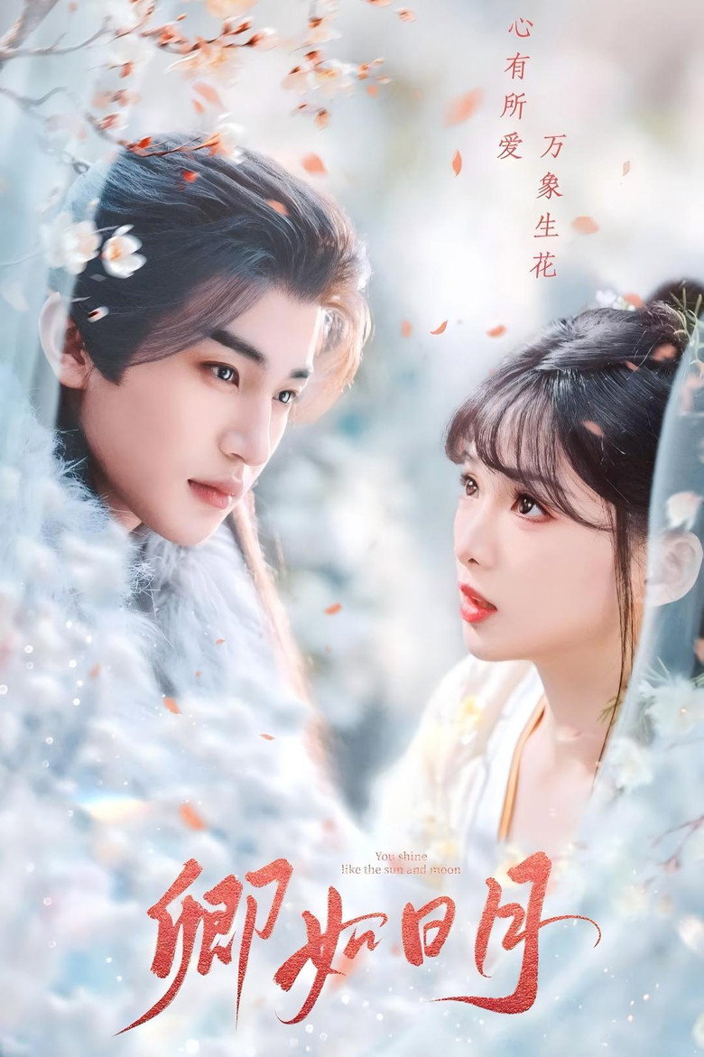 卿与日月 poster background