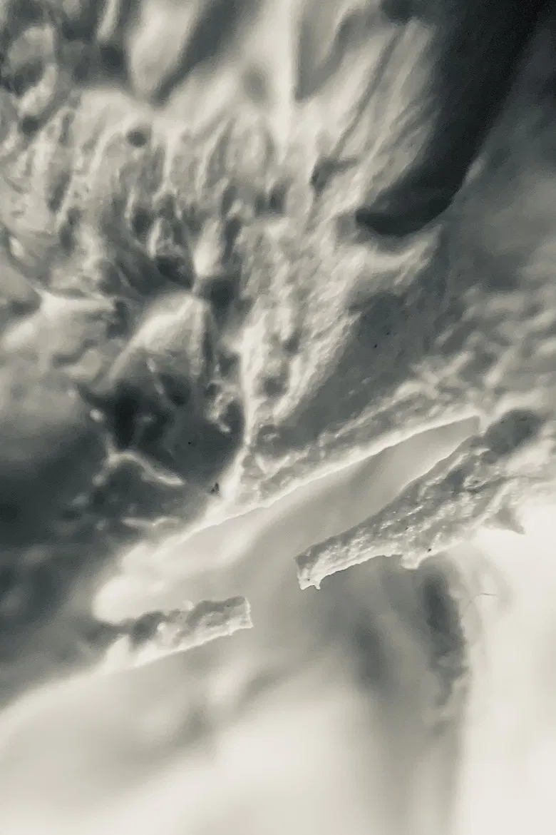 Rough Texture / Pilot Run poster background