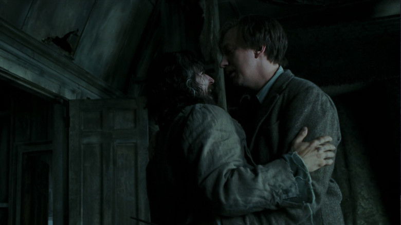 Hermione and Harry hiding from themselves