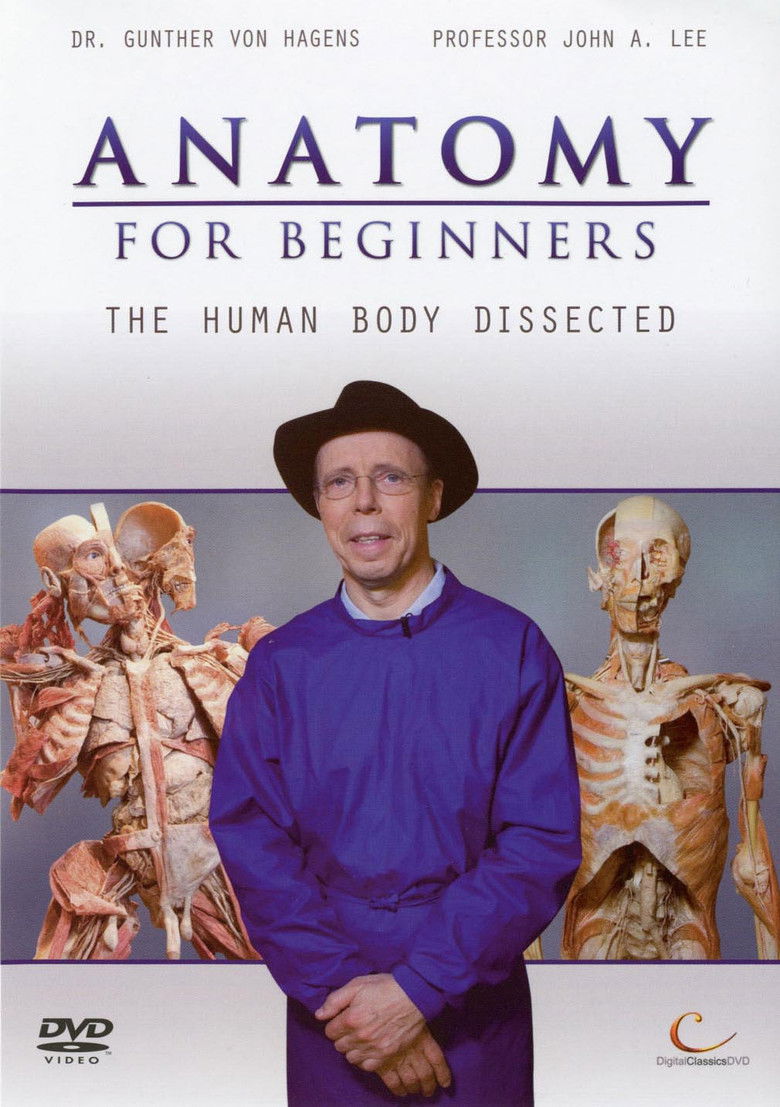 Anatomy for Beginners poster background