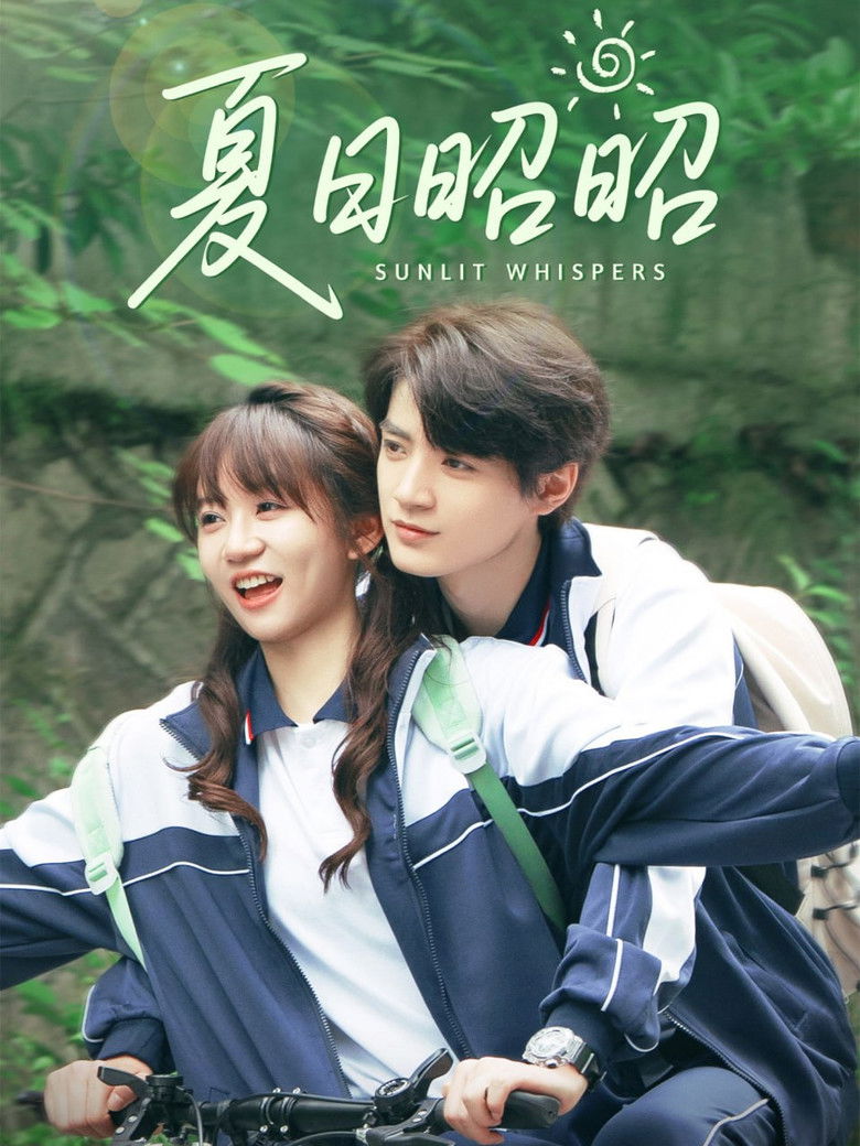 夏日昭昭 poster background