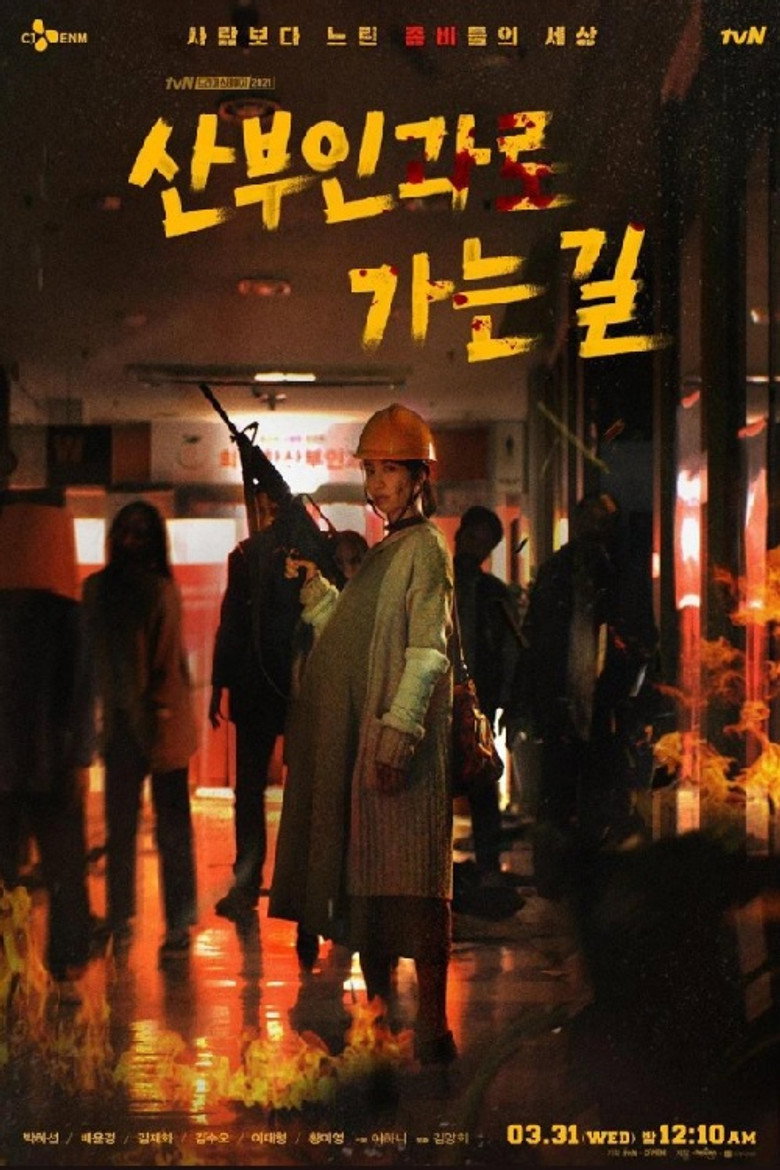 산부인과로 가는길 poster background