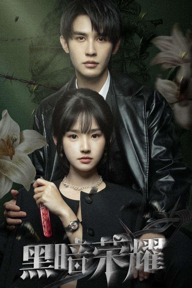 黑暗荣耀 poster background