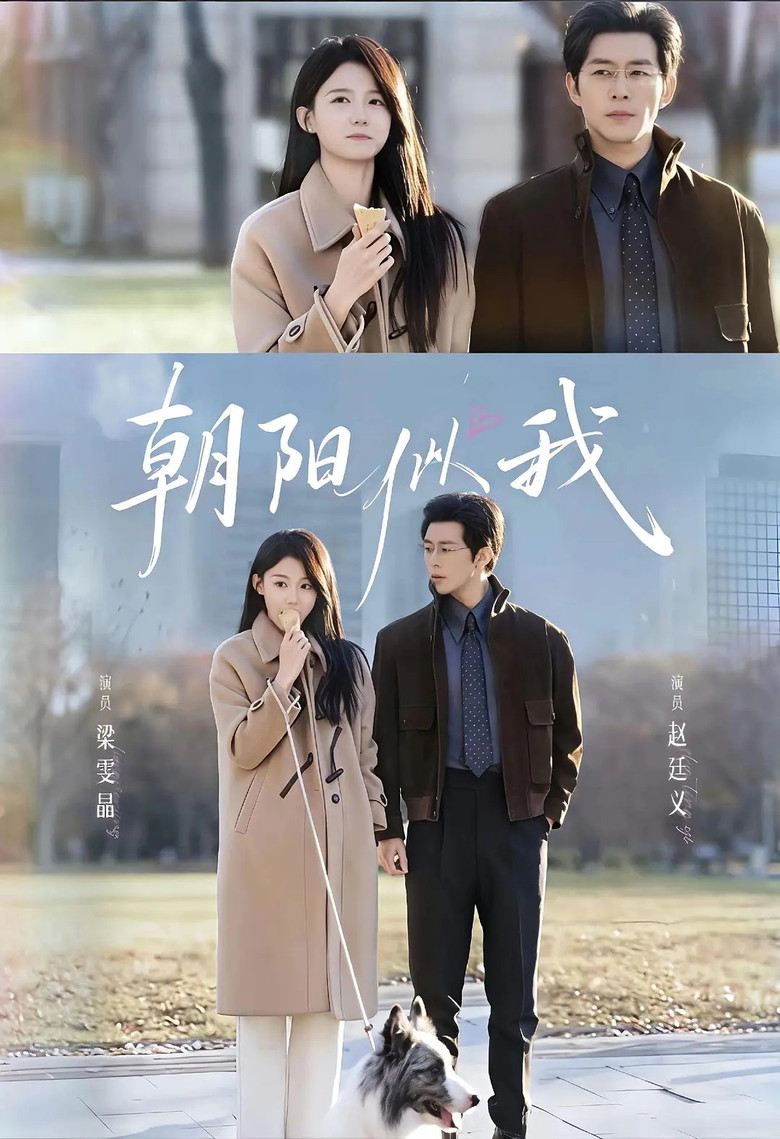 朝阳似我 poster background