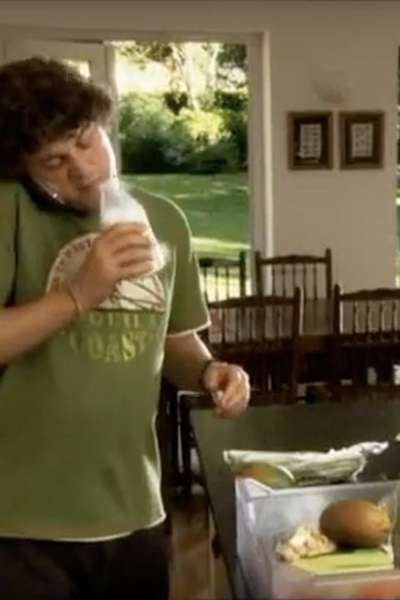 The Good Housekeeping Guide poster background