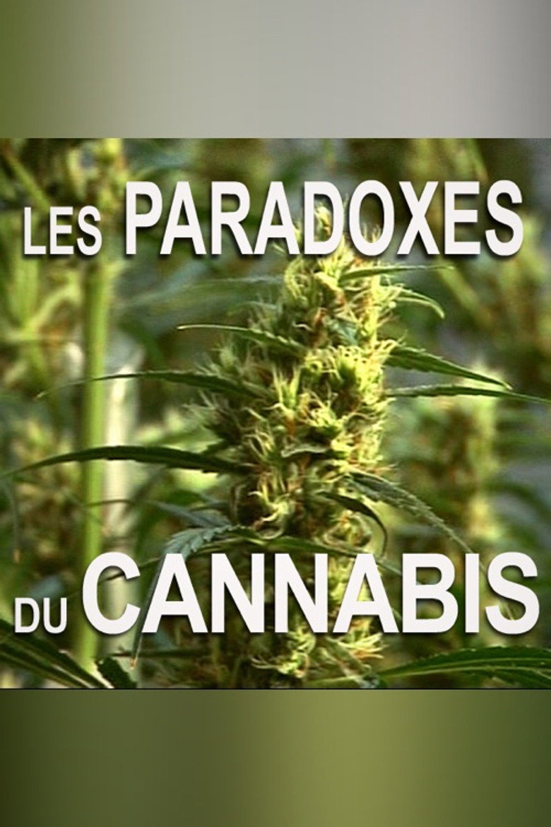 Les paradoxes du cannabis poster background