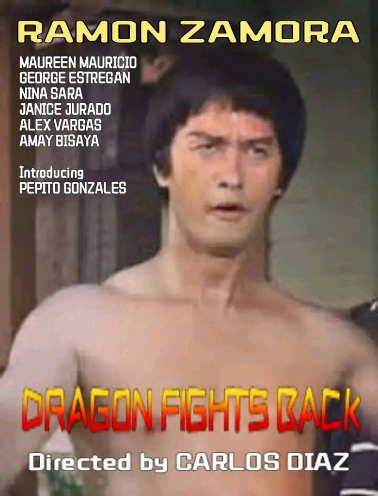 Dragon Fights Back poster background