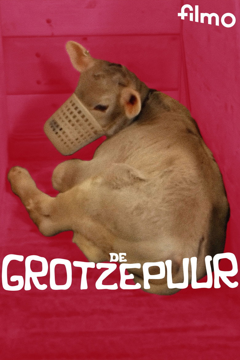 De grotzepuur poster background